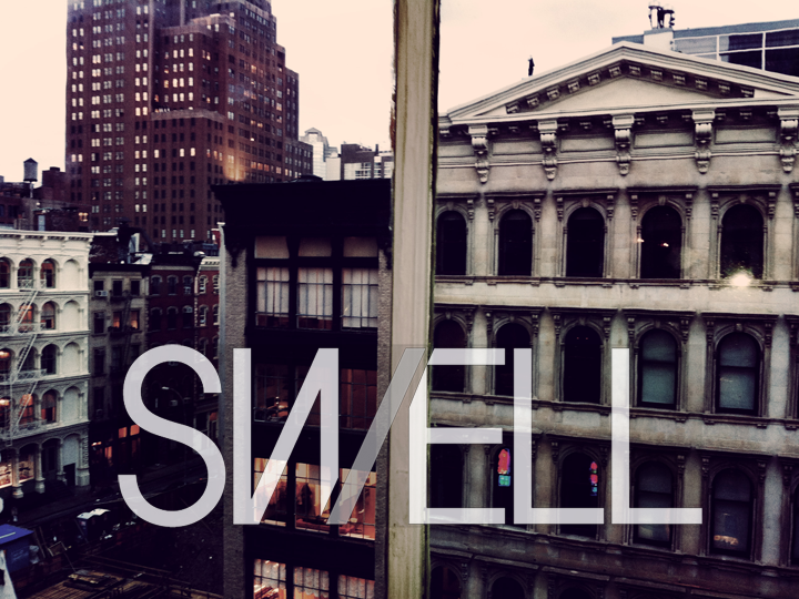 Visual Auters: Swell NY