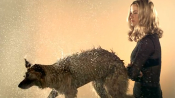 Thumbnail image for “ENTRANCE ROMANCE” BY RYAN MCGINLEY