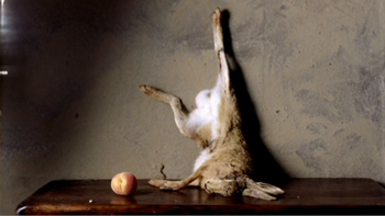 Thumbnail image for “A LITTLE DEATH”<BR /> BY SAM TAYLOR-WOOD